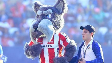 Increíble Por qué la MASCOTA del Atlético de San Luis es un PERRITO