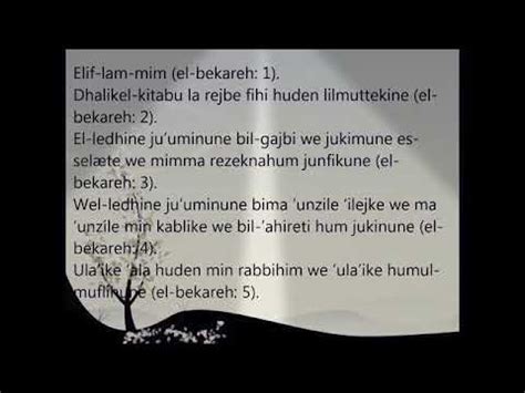 Sure El Bekare - YouTube