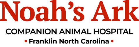 Illustrated Articles Noahs Ark Companion Animal Hospital