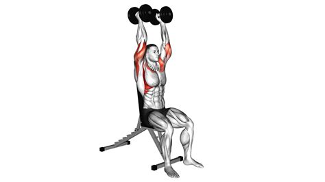 Dumbbell Seated Shoulder Press Parallel Grip Guide And Tips