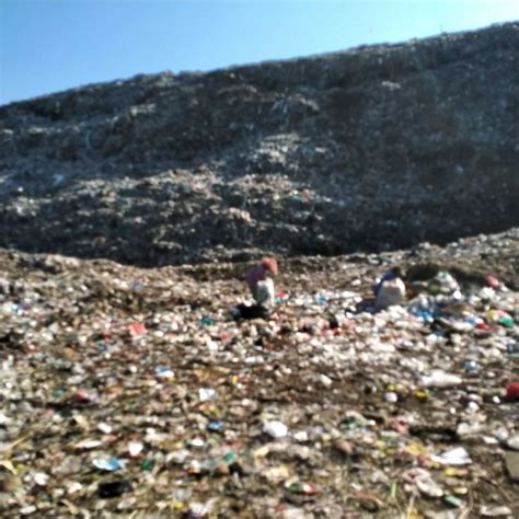 Dipusingkan Sampah Menggunung Kota Probolinggo Gandeng BRIN