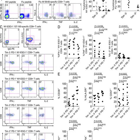 Co Expression Of Tim And Pd By Ny Eso Specific Cd T Cells