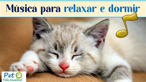 Músicas Para Gato Dormir - Musicas para Gatos Relaxar e Dormir - As Melhores ( TESTADAS) - YouTube