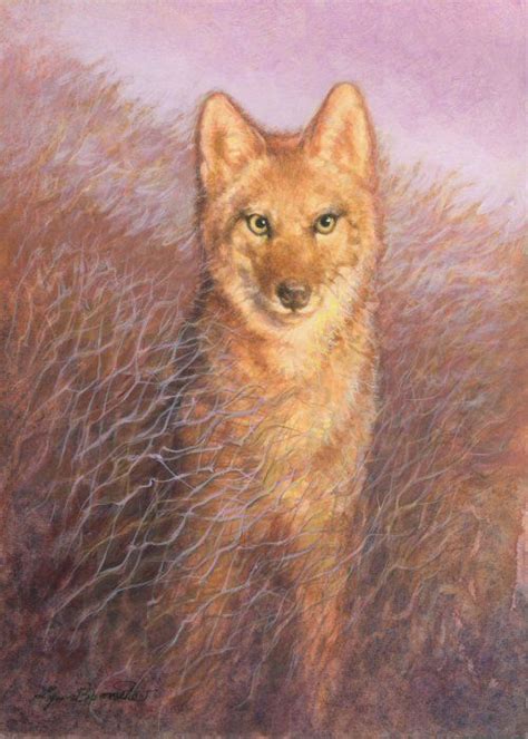 Art By Lynn Bonnette Dog Art Wildlife Art Art