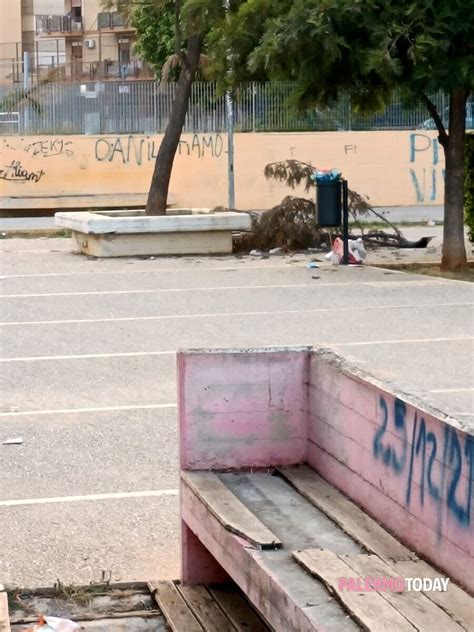 Degrado Al Parco Di Bonagia Segnalazione A Palermo