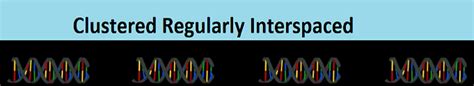 Crispr Cas9 One Of The Biggest Science Stories Of The Decade By Reliance Gcs Medium