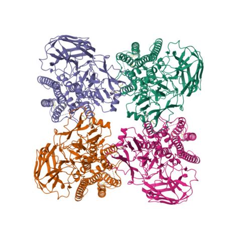 Rcsb Pdb 8hhe Crystal Structure Of Cry5b From Bacillus Thuringiensis