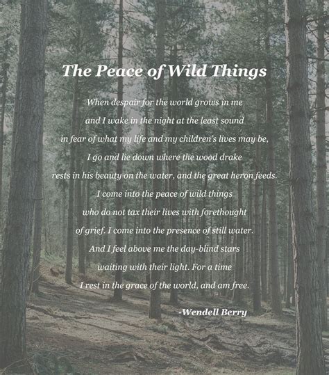 The Peace of Wild Things - Wendell Berry