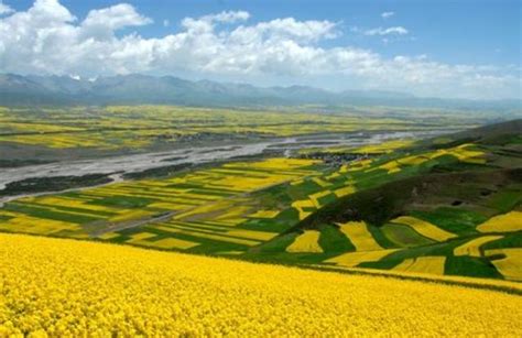 農業種植模式在變，未來農業發展方向在哪？看完就知道了 每日頭條