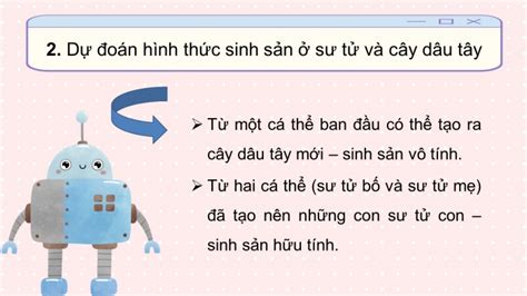 Tải giáo án Powerpoint KHTN 7 CTST bài 37 Sinh sản ở sinh vật baivan net