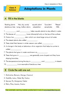 Adaptations In Plants Class Free Worksheet Pdf