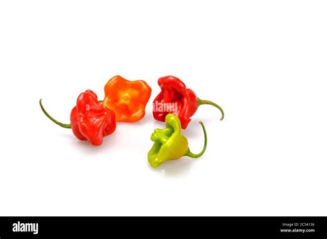 Hot Bell Peppers On A White Background Stock Photo Alamy