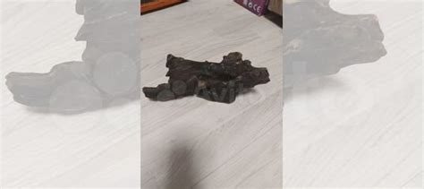 Коряга в аквариум или террариум купить в Новосибирске | Животные и ...