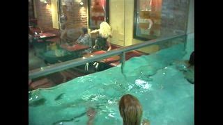 Oktober Fucking Fest Vol Free Art Xxx Hd Porn D Xhamster