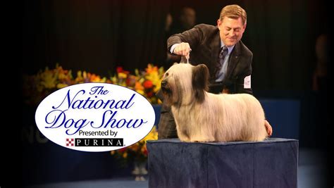 The National Dog Show What Time And Channel Does It Air