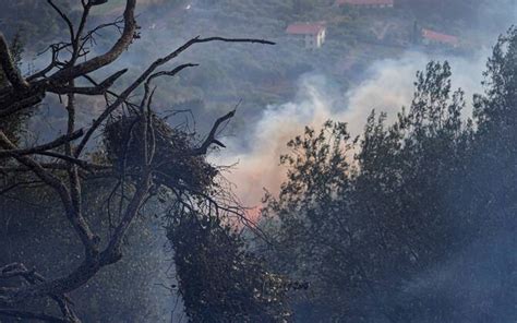 Incendi In Sardegna Bruciati Mila Ettari Arginato Il Fronte Del