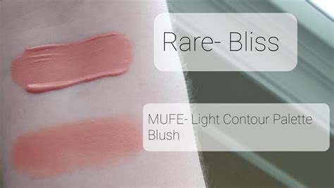 Rare Beauty Bliss Soft Pinch Liquid Blush Dupes - All In The Blush