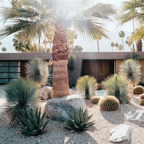 22 Favorite Desert Landscape Front Yards Home Decoration Style And