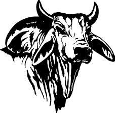 Cow Logo, Farm Logo, Horse Tattoo, Drawing Images, Art Drawings, Bull Artwork