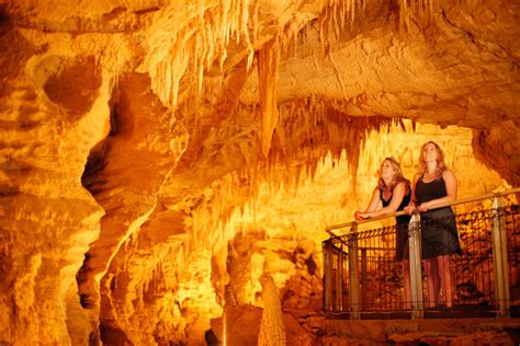 Las Cuevas De Waitomo Y Los Gusanos Luminosos ~ Kiwiargentino ~