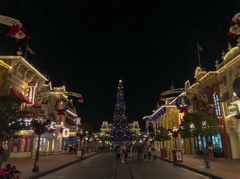 PHOTOS – Holiday Decorations and Christmas Tree Arrive at Magic Kingdom ...