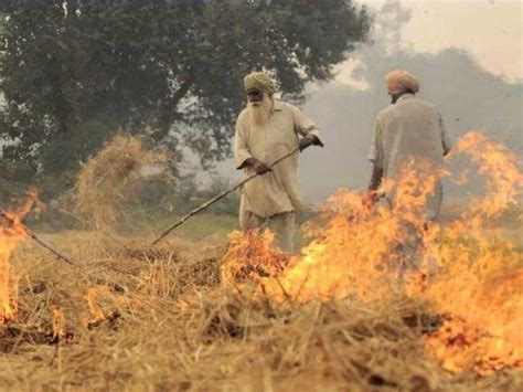 987 Cases Of Stubble Burning Reported In Punjab But Who Is Counting