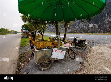 Goat Meat Of Ninh Binh In Vietnam Stock Photo Alamy