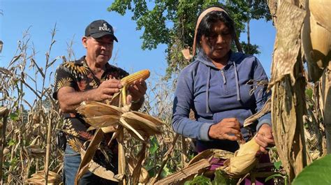 Beneficiando A Comunidades De Napo Productores Reciben Kits De