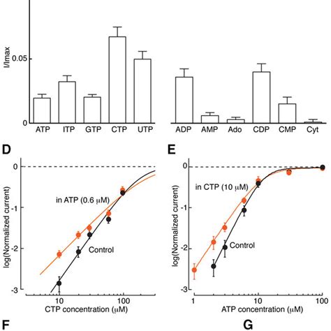 P2x7 Receptors Become Sensitive To Other Nucleotides After Bzatp