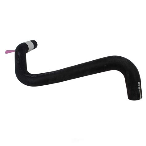 Radiator Coolant Hose Lower Motorcraft Km 4983 Ebay