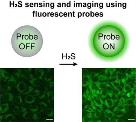 Sensitivity And Selectivity Analysis Of Fluorescent Probes For Hydrogen