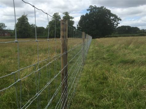 Post And Wire Fencing Hodges Lawrence Ltd