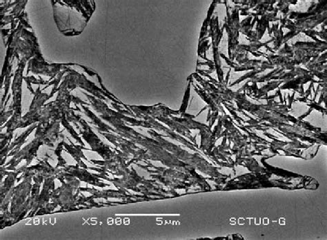 High Chromium White Cast Iron With Quenching Treatment At 1050ºc Download Scientific Diagram