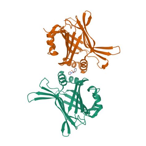 Rcsb Pdb Xjd Tead In Complex With Fragment