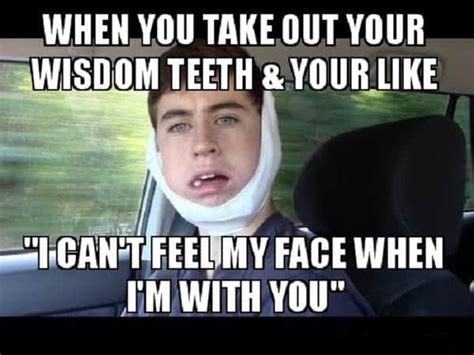 Top 30 Funny Dental Memes – SheIdeas