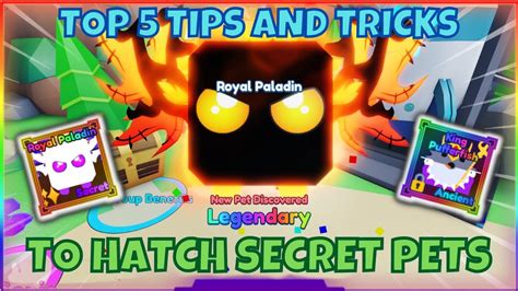 TOP 5 Tips And Tricks To Hatch SECRET PETS In MS2 Boost Saving And