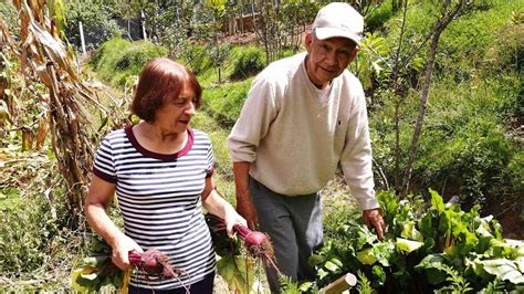 Sin Las Luchas De Las Organizaciones La Declaraci N De Derechos