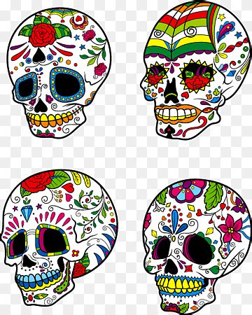 Descarga Gratis Calavera Calavera Euclidiana Calavera Logo