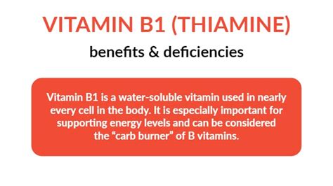 Vitamin B1 Benefits, Deficiency And Foods Daniel Functional, 52% OFF