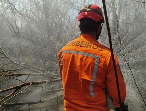 Semarh lança plano para prevenção e controle de incêndios DATA PIAUÍ