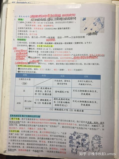 高中生物笔记3 现代生物科技专题（手写笔记） 知乎