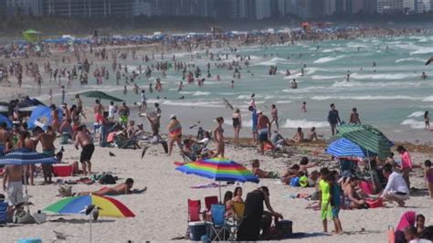 28 Roberto Machado Noa Beach Miami Videos And Hd Footage Getty Images