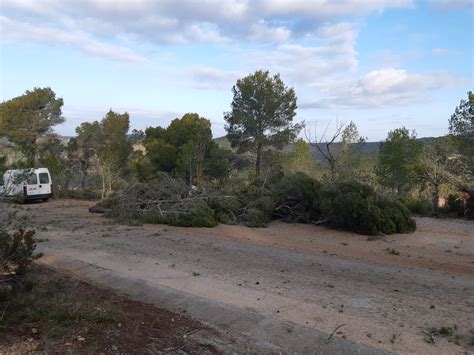 Comencen Els Treballs Forestals Per Prevenir Incendis Al Nucli Antic