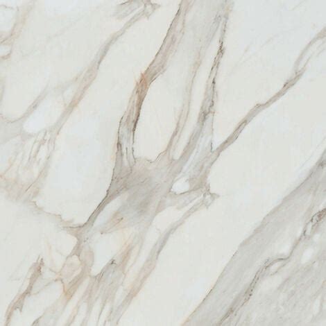 Rak Calacatta Gold White Matt Cm X Cm Porcelain Wall And Floor