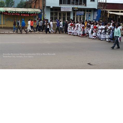 Celebration of Irreecha Oromoo 2014 (6408 according to Oromo Calendar ...