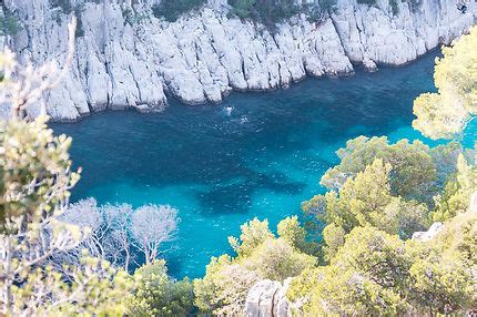 Calanque D En Vau Mer Arbres Calanque D En Vau Calanques De