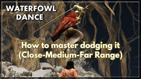 How To Dodge Malenias Waterfowl Dance Close Medium Far Range