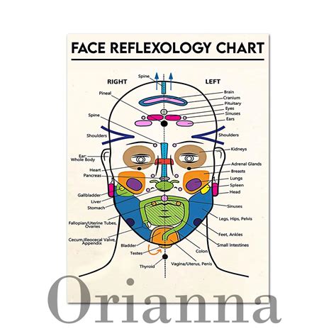 Face Reflexology Map