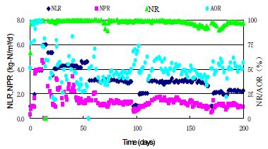 Changes In Total Influent Nh N Effluent Nh N No N Nlr Tnlr And