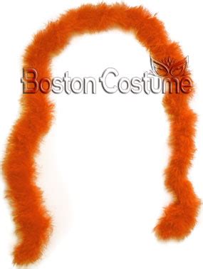 Orange Feather Boa at Boston Costume